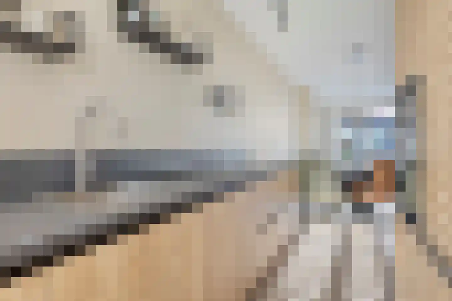 Buitenring 25 Middelharnis thumbnail 20