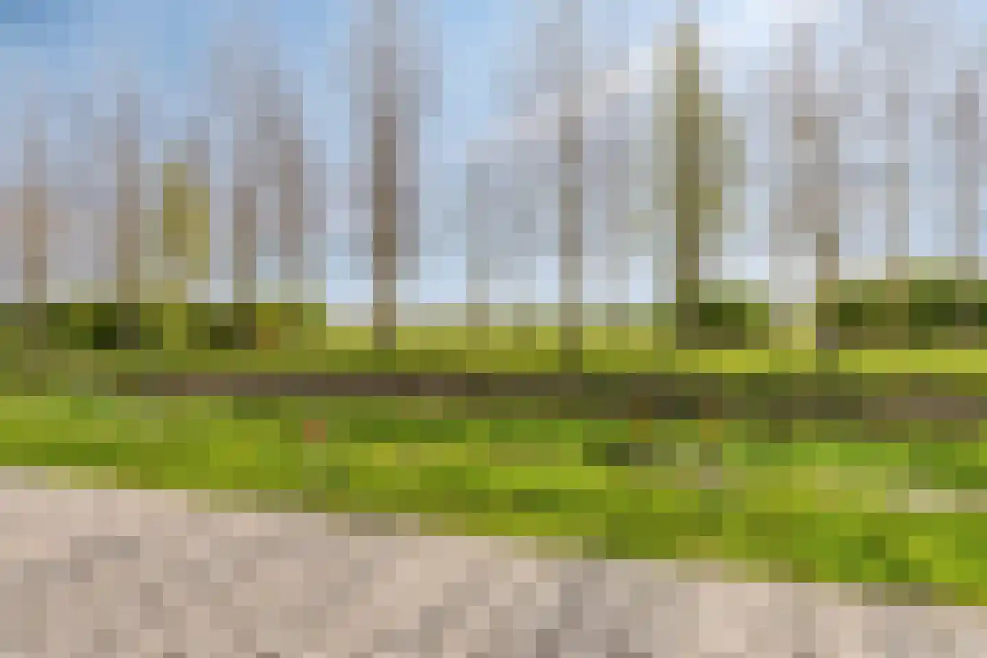 Buitenring 25 Middelharnis thumbnail 33