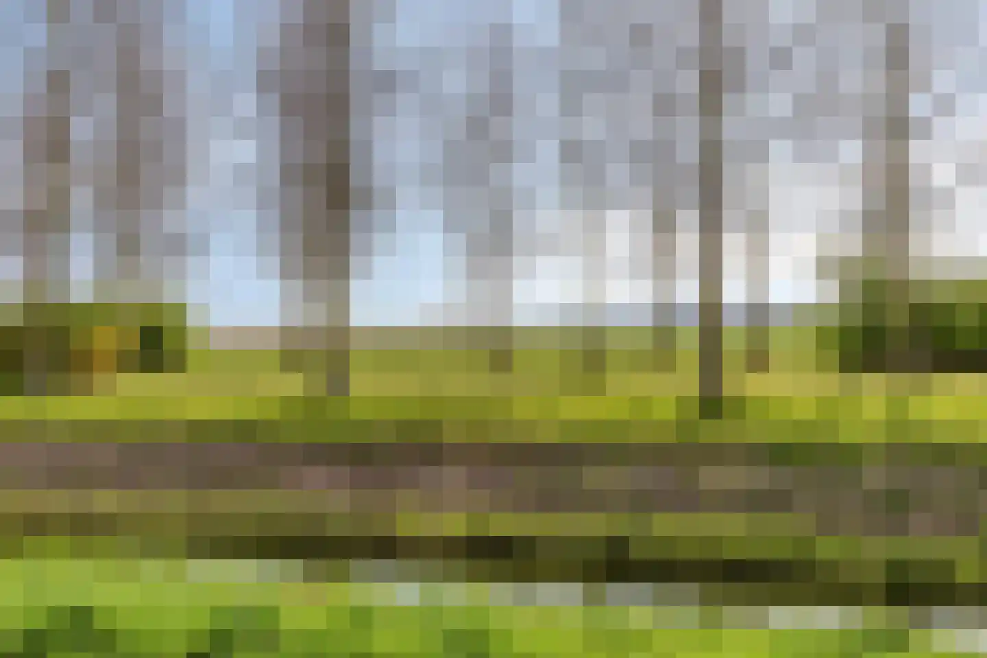 Buitenring 25 Middelharnis thumbnail 34