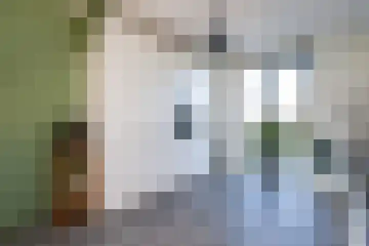Buitenring 28 Middelharnis thumbnail 11