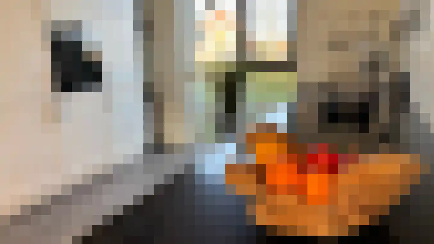 Buitenring 28 Middelharnis thumbnail 12