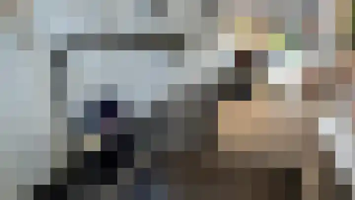 Buitenring 28 Middelharnis thumbnail 14