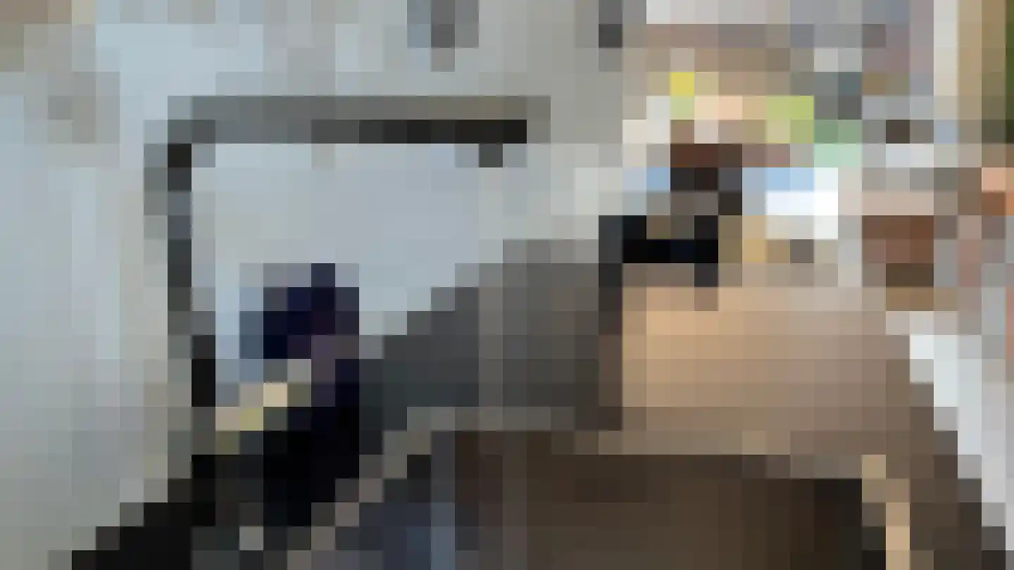 Buitenring 28 Middelharnis thumbnail 14