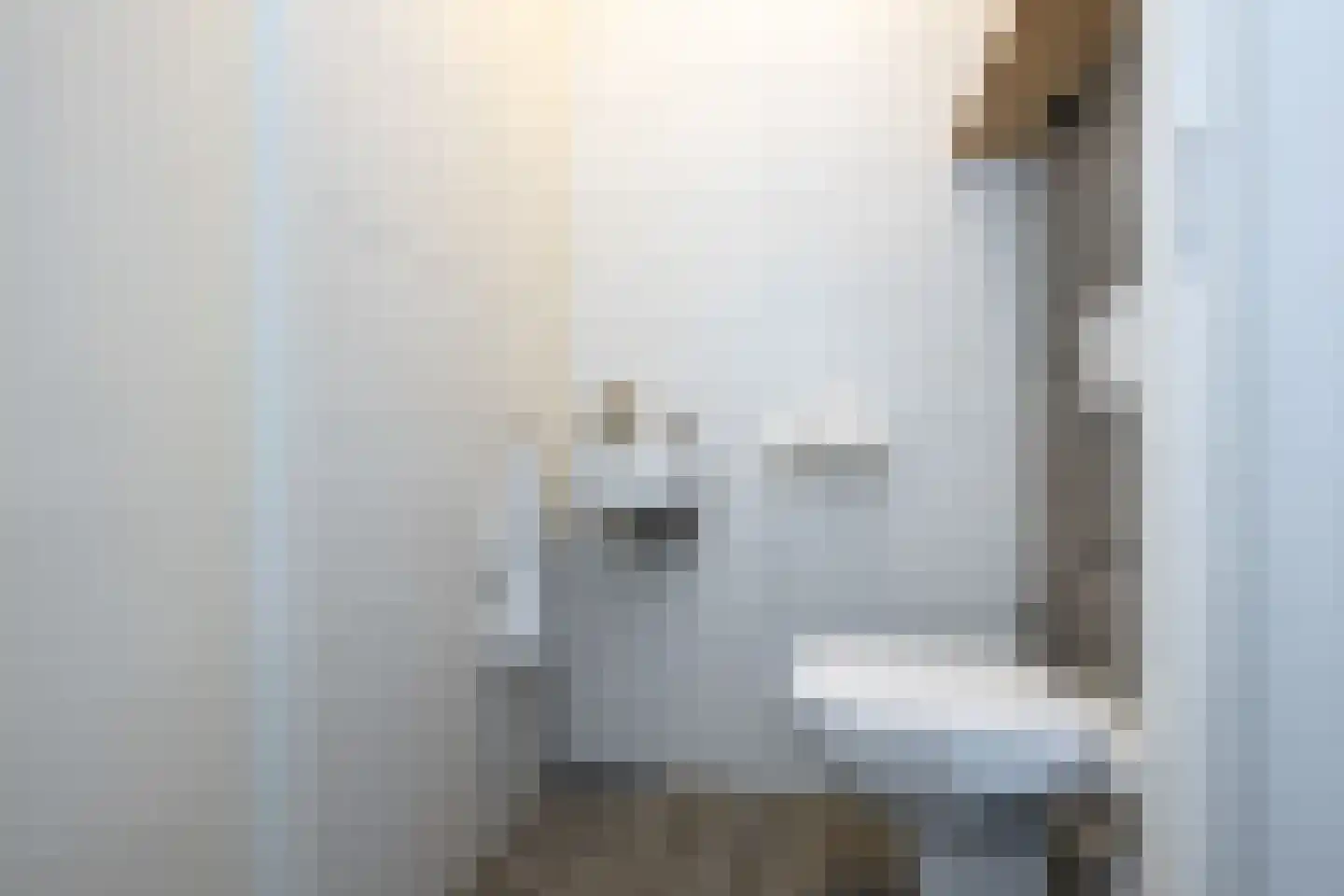 Buitenring 28 Middelharnis thumbnail 15