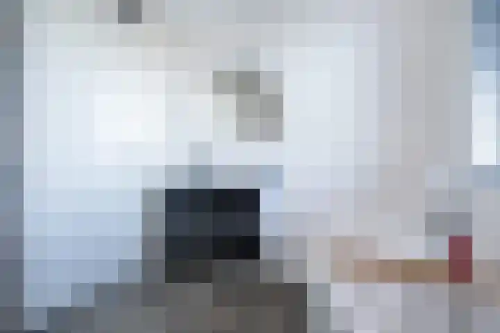 Buitenring 28 Middelharnis thumbnail 21