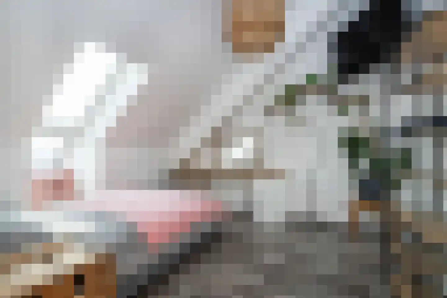 Buitenring 28 Middelharnis thumbnail 24
