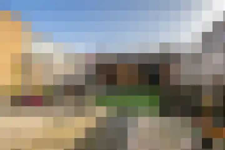 Buitenring 28 Middelharnis thumbnail 29