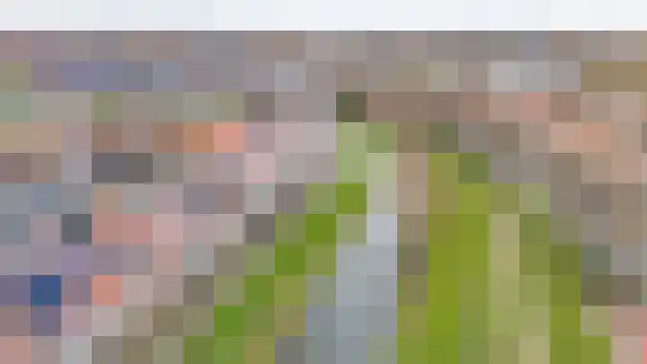 Buitenring 28 Middelharnis thumbnail 32