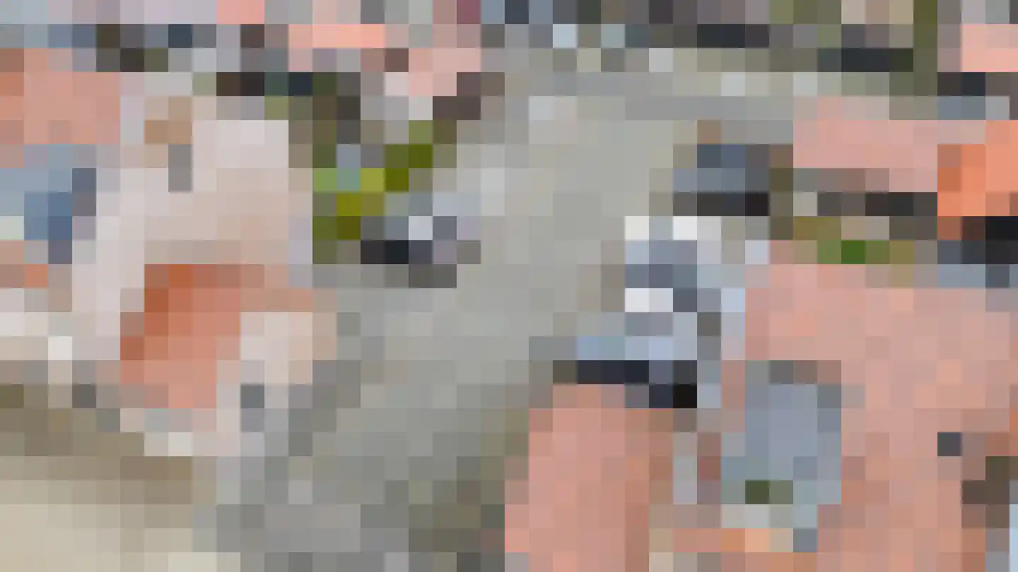 Buitenring 28 Middelharnis thumbnail 33