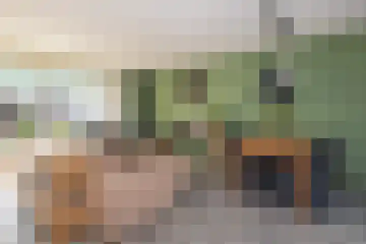 Buitenring 28 Middelharnis thumbnail 6