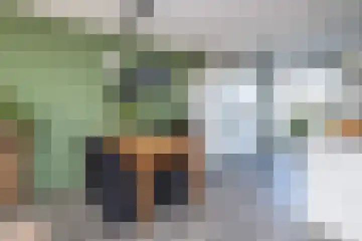 Buitenring 28 Middelharnis thumbnail 8