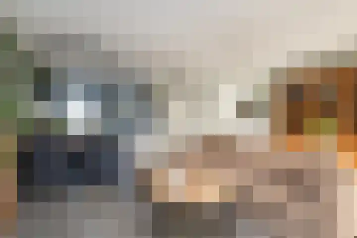 Buitenring 28 Middelharnis thumbnail 9