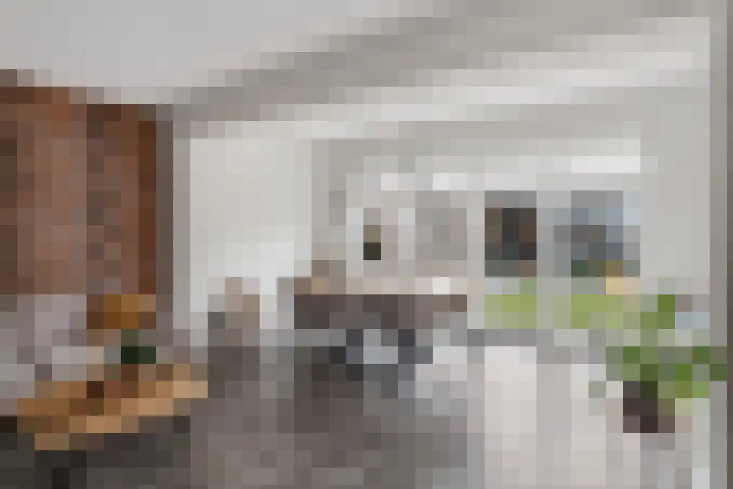 Buitenring 44 Middelharnis thumbnail 11