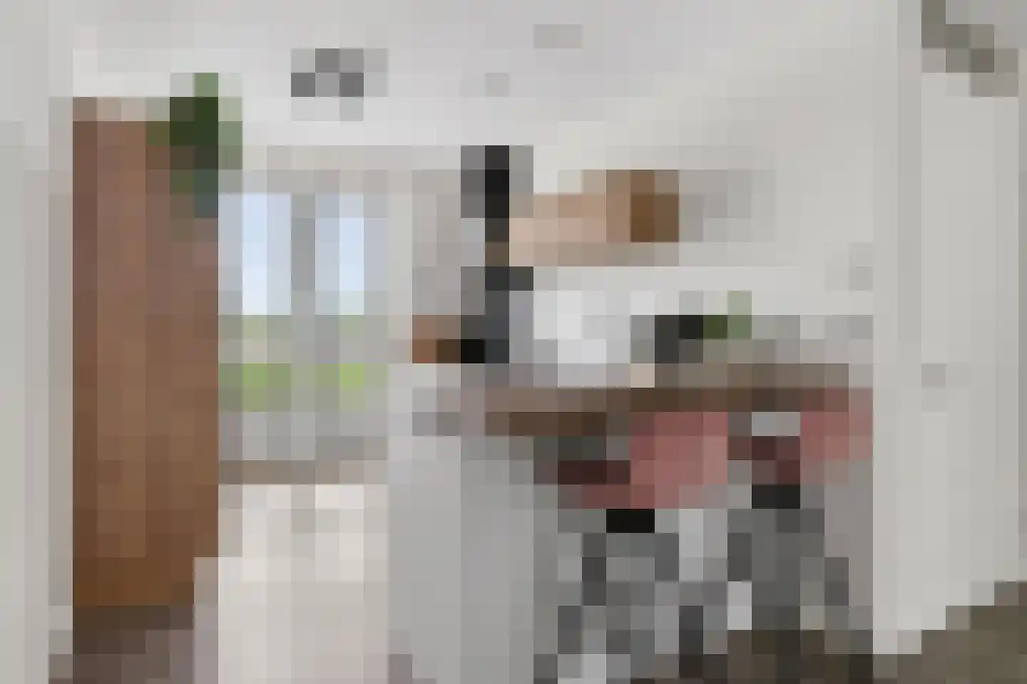 Buitenring 44 Middelharnis thumbnail 16