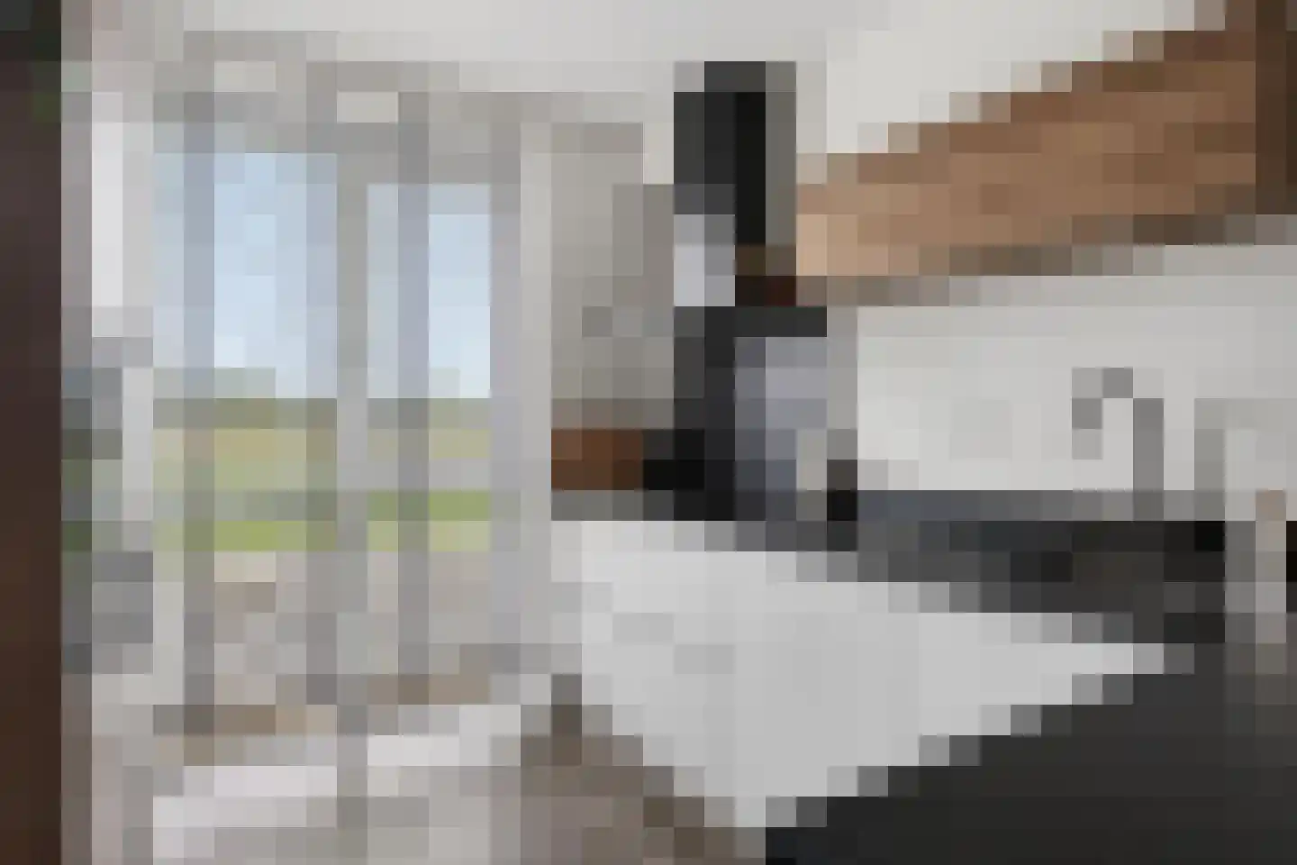 Buitenring 44 Middelharnis thumbnail 17