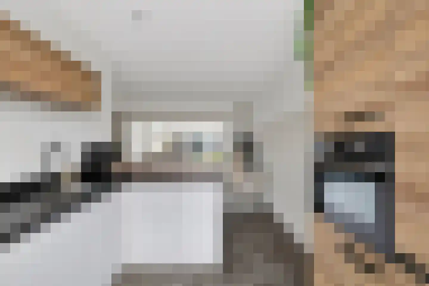 Buitenring 44 Middelharnis thumbnail 18
