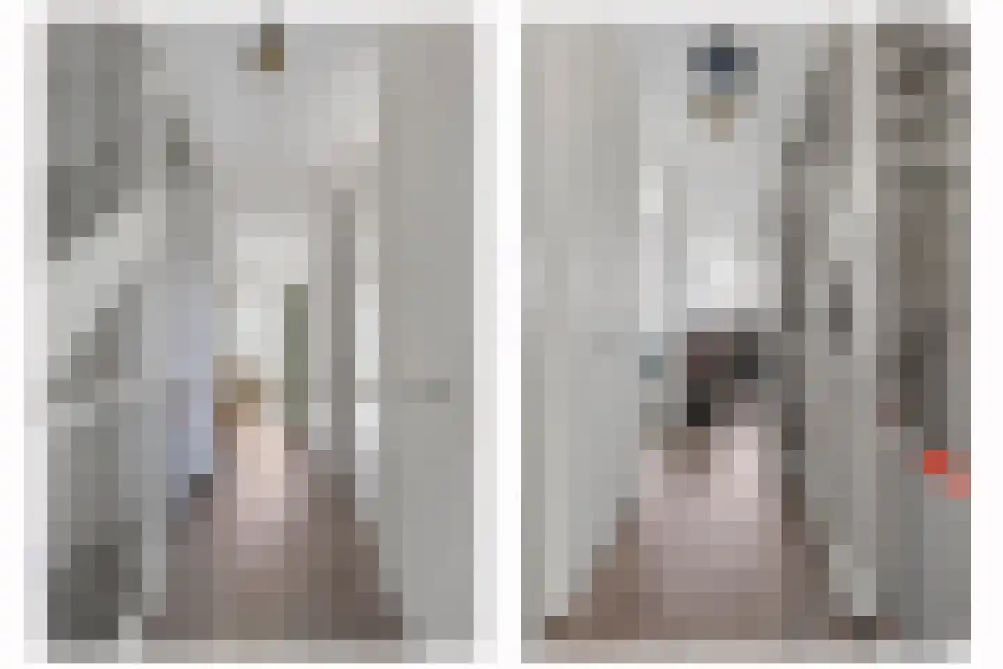 Buitenring 44 Middelharnis thumbnail 20