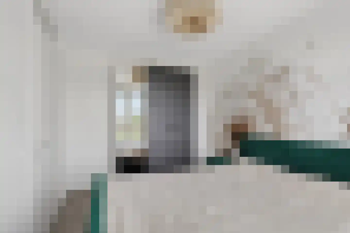 Buitenring 44 Middelharnis thumbnail 22