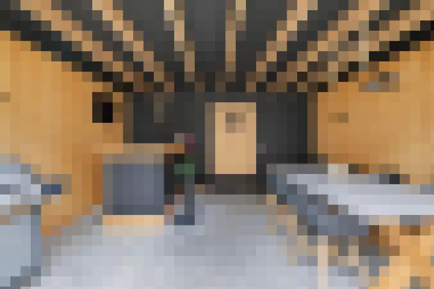 Buitenring 44 Middelharnis thumbnail 38