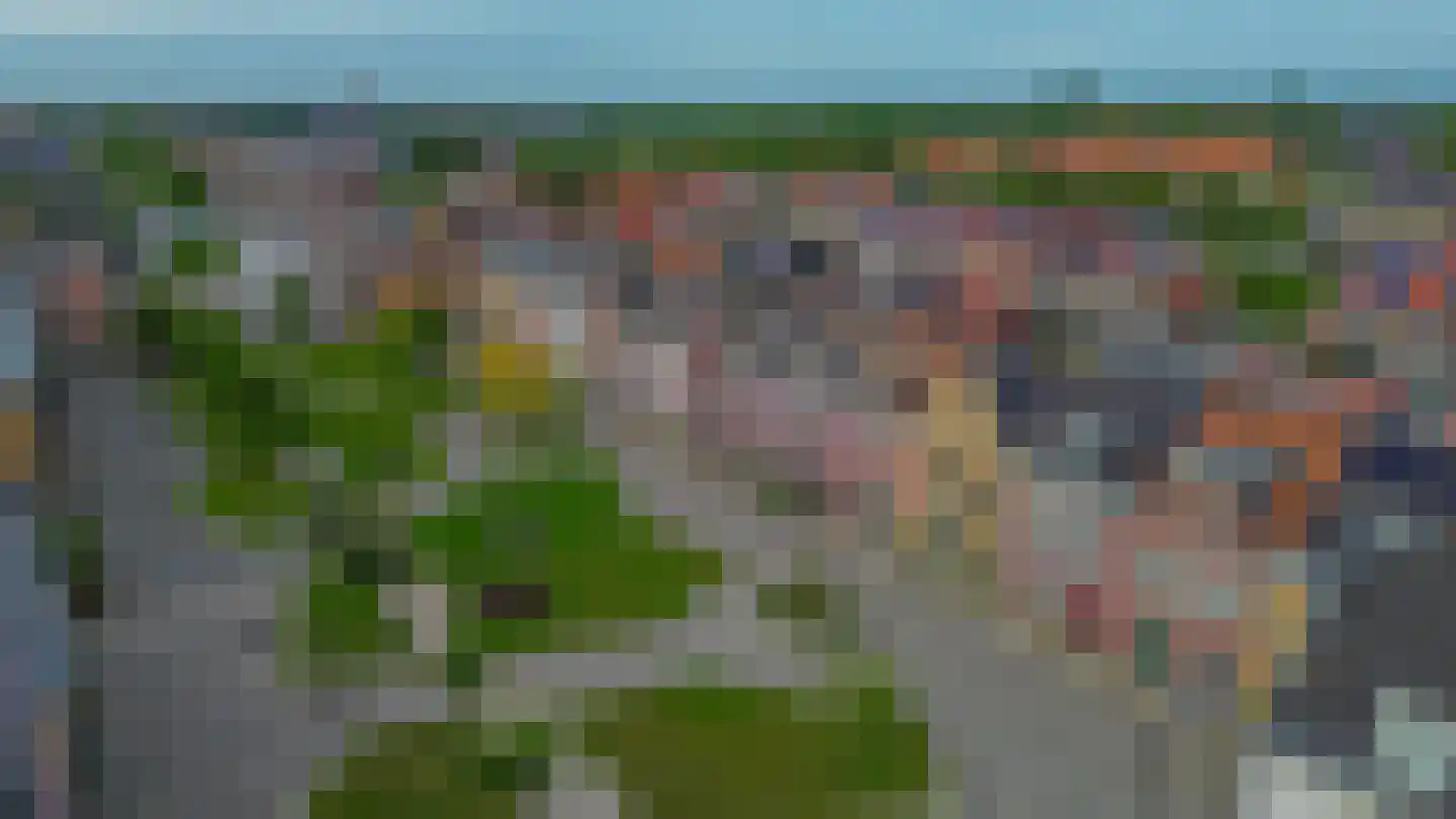 Buitenring 44 Middelharnis thumbnail 42