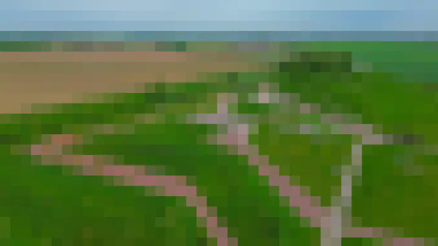 Buitenring 44 Middelharnis thumbnail 43