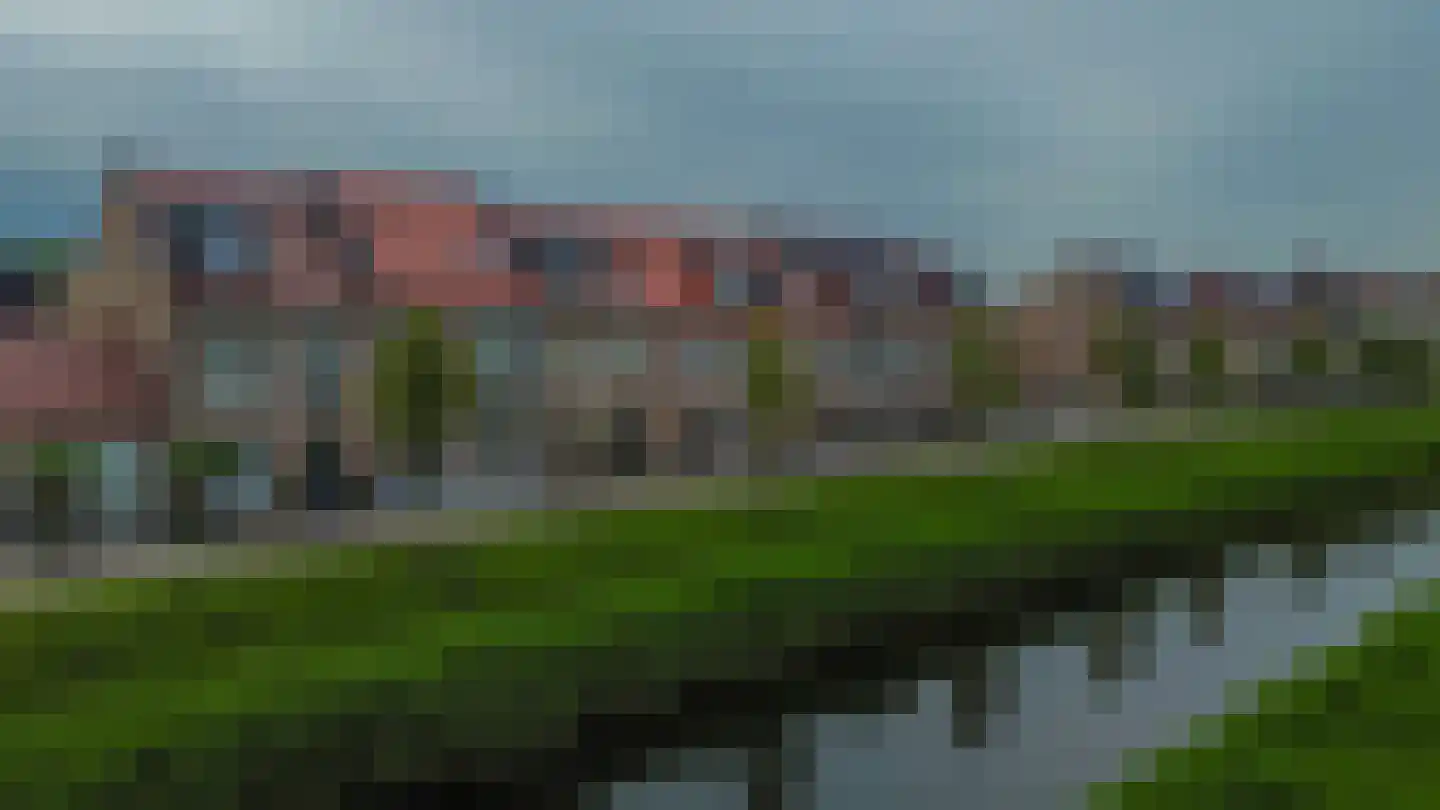 Buitenring 44 Middelharnis thumbnail 46