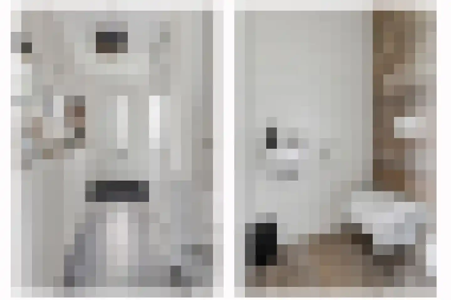 Buitenring 44 Middelharnis thumbnail 8