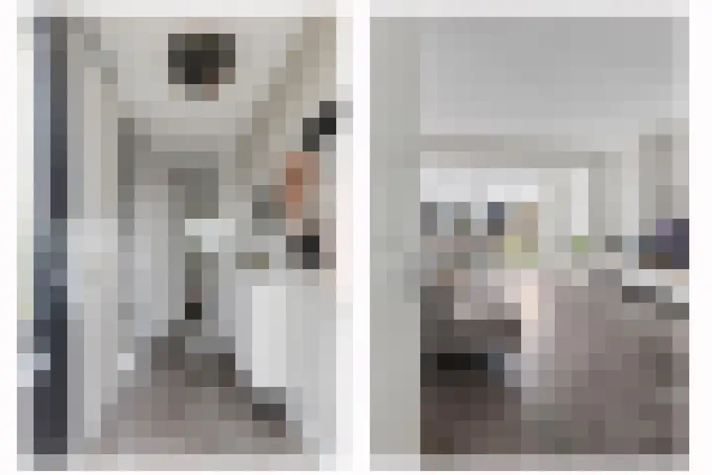 Buitenring 44 Middelharnis thumbnail 9