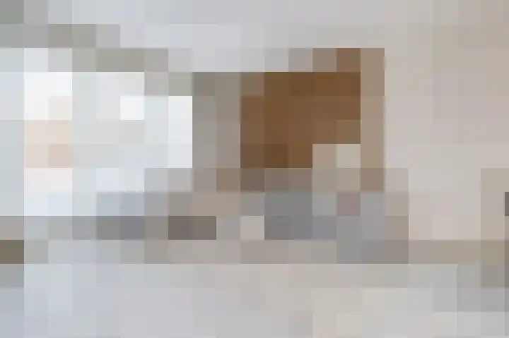 Buitenring 5 Middelharnis thumbnail 13