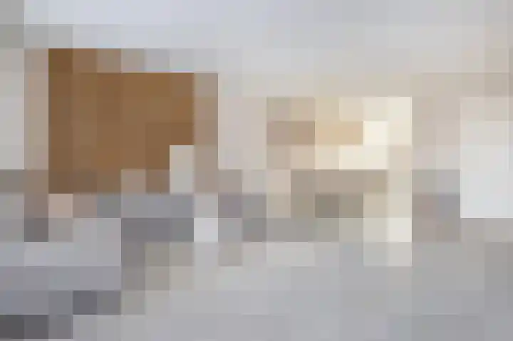 Buitenring 5 Middelharnis thumbnail 14