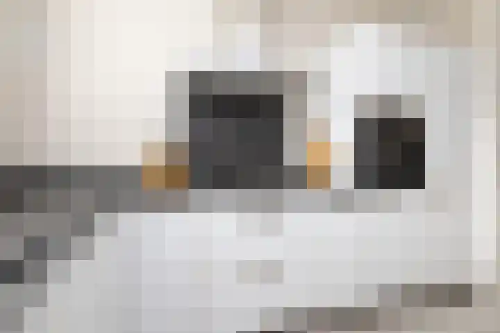 Buitenring 5 Middelharnis thumbnail 15
