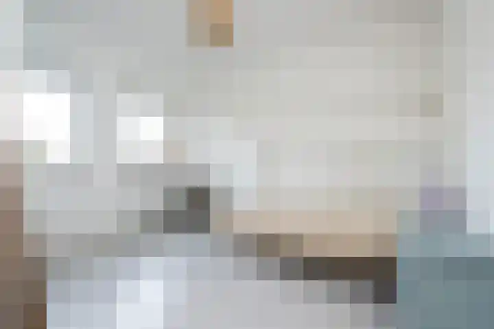 Buitenring 5 Middelharnis thumbnail 18