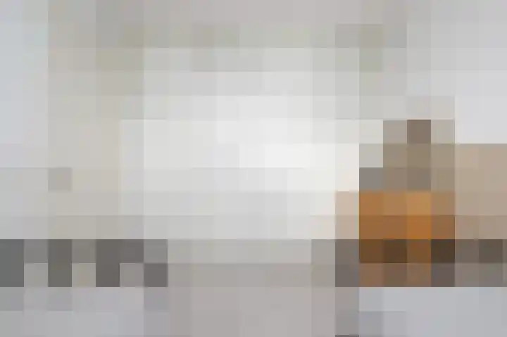 Buitenring 5 Middelharnis thumbnail 19