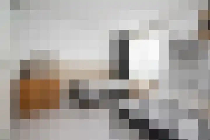 Buitenring 5 Middelharnis thumbnail 20