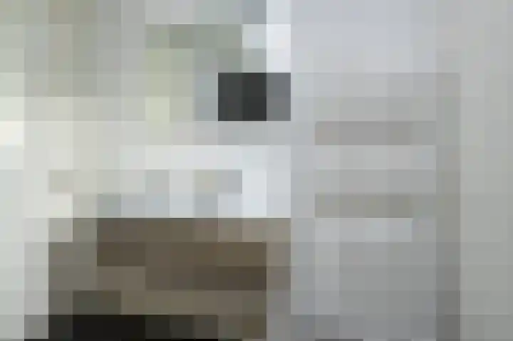 Buitenring 5 Middelharnis thumbnail 22
