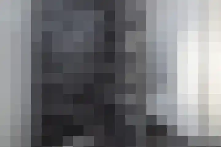 Buitenring 5 Middelharnis thumbnail 23