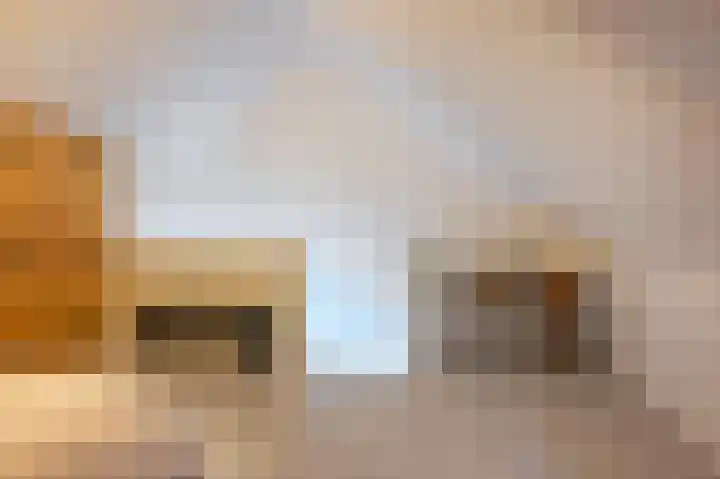 Buitenring 5 Middelharnis thumbnail 24