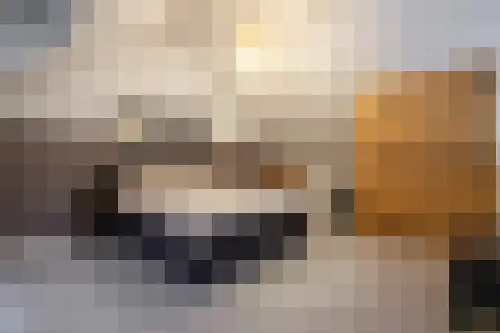 Buitenring 5 Middelharnis thumbnail 25