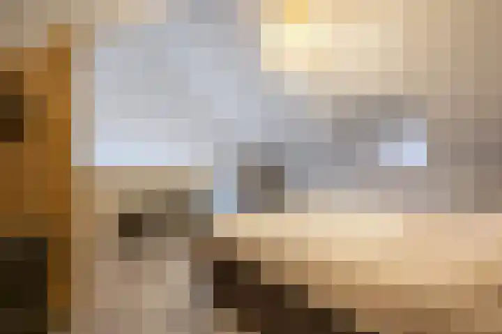 Buitenring 5 Middelharnis thumbnail 27