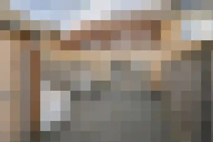 Buitenring 5 Middelharnis thumbnail 28