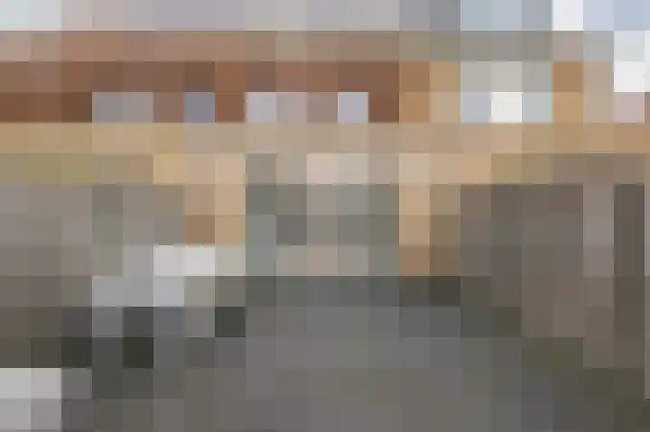 Buitenring 5 Middelharnis thumbnail 29