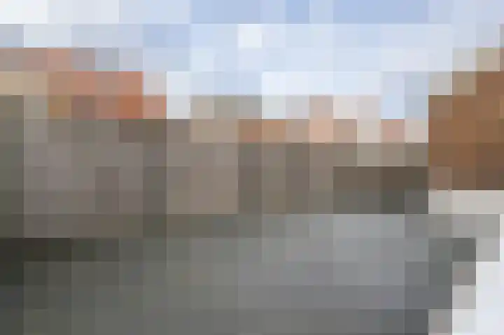 Buitenring 5 Middelharnis thumbnail 30
