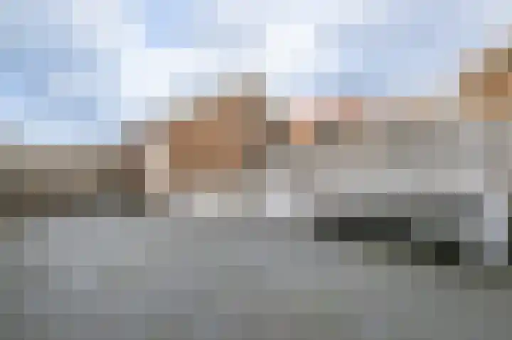 Buitenring 5 Middelharnis thumbnail 31