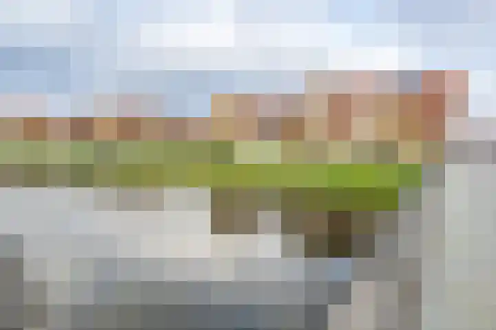 Buitenring 5 Middelharnis thumbnail 32