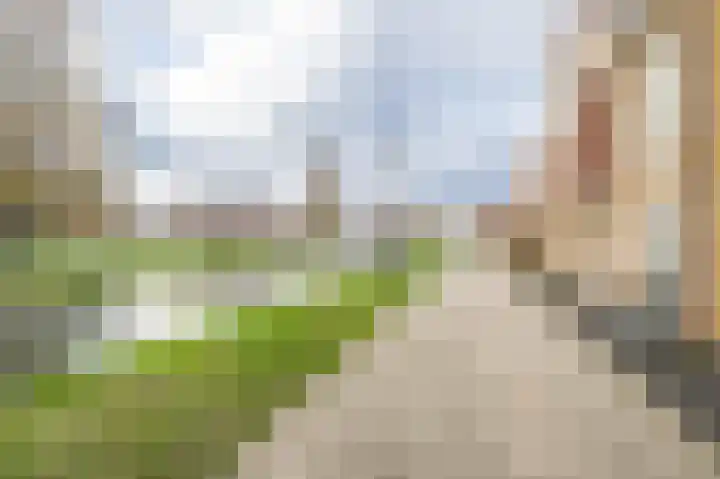 Buitenring 5 Middelharnis thumbnail 5