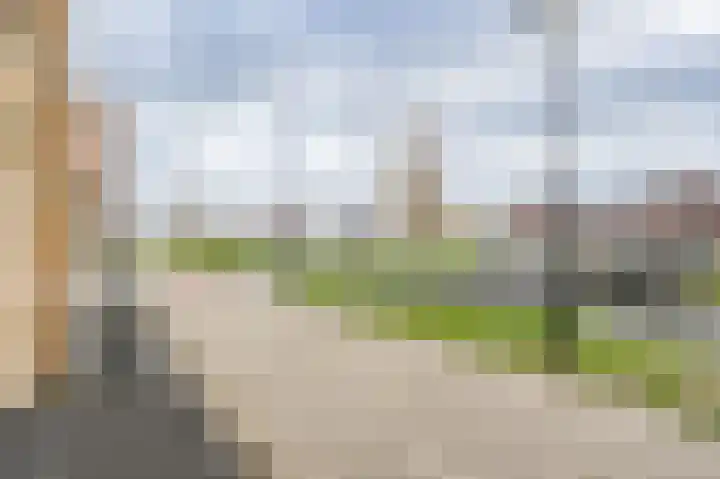 Buitenring 5 Middelharnis thumbnail 6