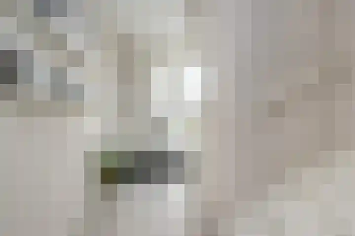 Buitenring 5 Middelharnis thumbnail 7