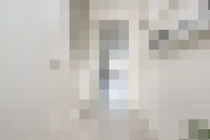 Buitenring 5 Middelharnis thumbnail 9