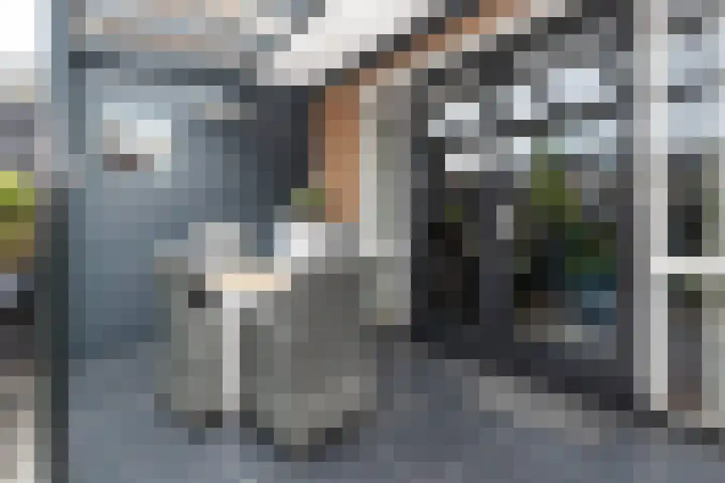 Buitenring 50 Middelharnis thumbnail 25