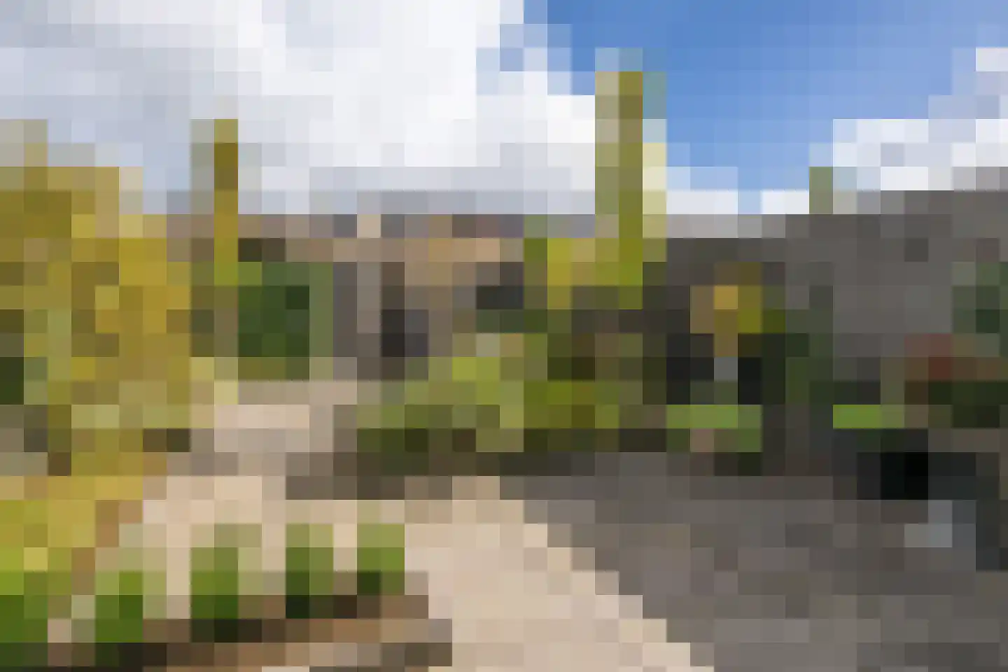 Buitenring 50 Middelharnis thumbnail 26